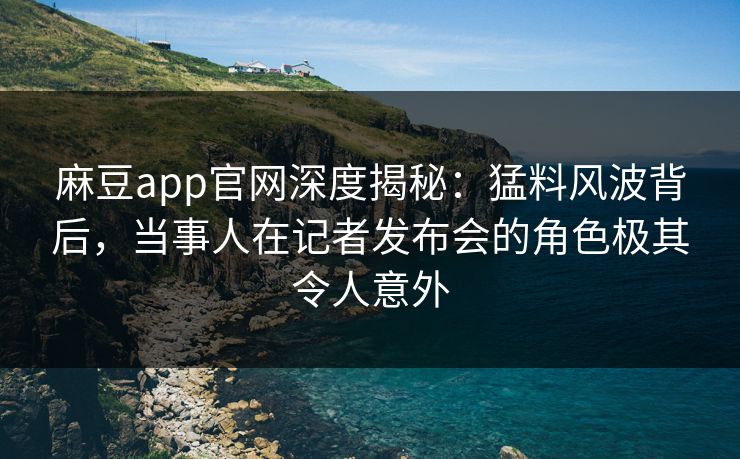 麻豆app官网深度揭秘：猛料风波背后，当事人在记者发布会的角色极其令人意外