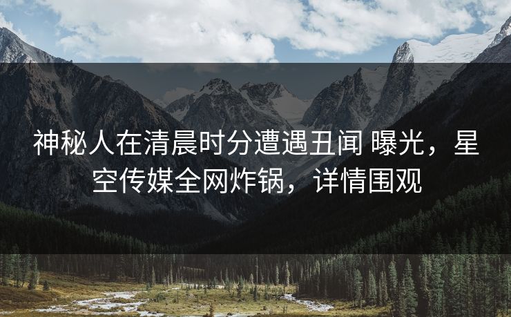 神秘人在清晨时分遭遇丑闻 曝光，星空传媒全网炸锅，详情围观