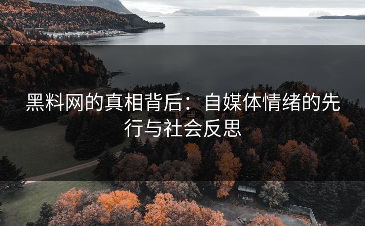 黑料网的真相背后：自媒体情绪的先行与社会反思